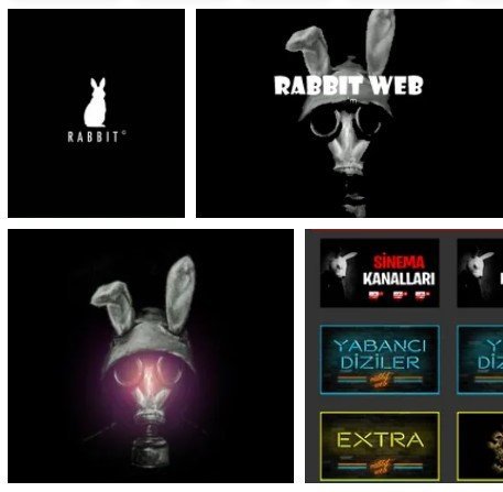 Rabbit Web Apk Pro 9.9 Son Sürüm indir 2022 Reklamsız
